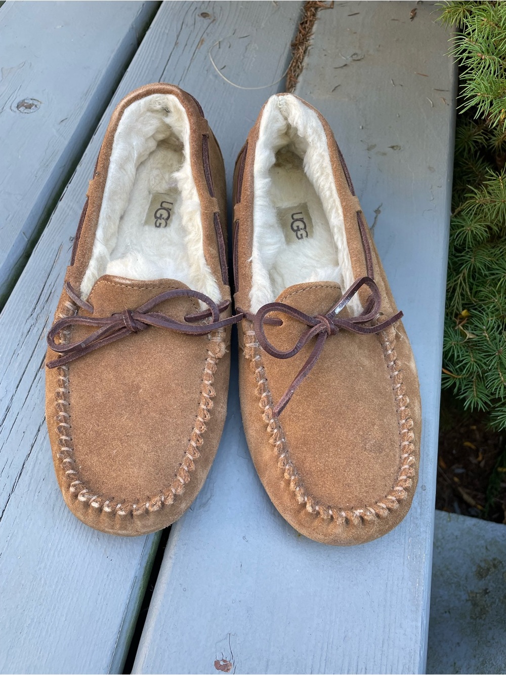 UGG Women's Dakota Slipper, Chestnut, size 7